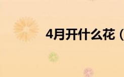 4月开什么花（什么花4月开）