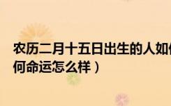 农历二月十五日出生的人如何（农历二月十五日出生的人如何命运怎么样）