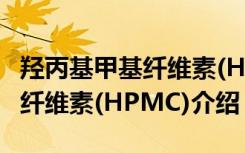 羟丙基甲基纤维素(HPMC)（关于羟丙基甲基纤维素(HPMC)介绍）