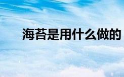 海苔是用什么做的（海苔是什么做的）