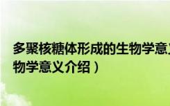 多聚核糖体形成的生物学意义是什么（多聚核糖体形成的生物学意义介绍）