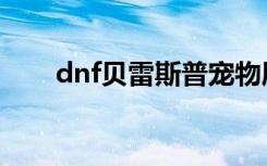 dnf贝雷斯普宠物属性（dnf贝雷斯）