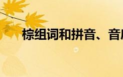 棕组词和拼音、音序（棕组词和拼音）