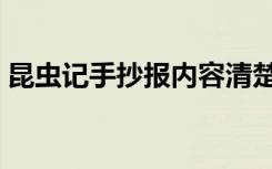 昆虫记手抄报内容清楚（昆虫记手抄报内容）