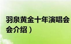 羽泉黄金十年演唱会（关于羽泉黄金十年演唱会介绍）