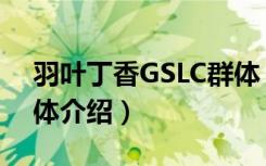 羽叶丁香GSLC群体（关于羽叶丁香GSLC群体介绍）