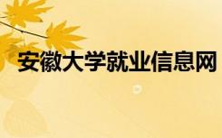 安徽大学就业信息网（安徽大学就业信息）