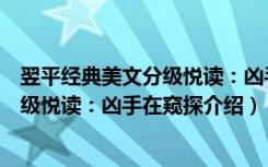 翌平经典美文分级悦读：凶手在窥探（关于翌平经典美文分级悦读：凶手在窥探介绍）