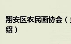 翔安区农民画协会（关于翔安区农民画协会介绍）