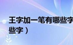 王字加一笔有哪些字15个（王字加一笔有哪些字）