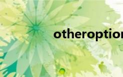 otheroptions是什么意思