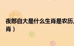 夜郎自大是什么生肖是农历几月份的鼠（夜郎自大是什么生肖）