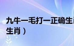 九牛一毛打一正确生肖龙（九牛一毛打一正确生肖）