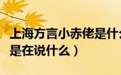 上海方言小赤佬是什么意思（上海方言小赤佬是在说什么）