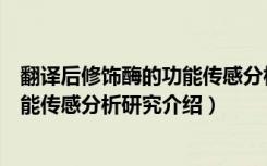 翻译后修饰酶的功能传感分析研究（关于翻译后修饰酶的功能传感分析研究介绍）