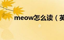 meow怎么读（英语meow怎么读）