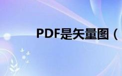 PDF是矢量图（pdf是矢量图吗）