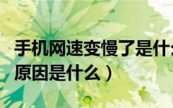 手机网速变慢了是什么原因（手机网速变慢了原因是什么）