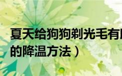 夏天给狗狗剃光毛有助于让狗狗降温吗（狗狗的降温方法）