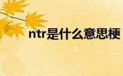 ntr是什么意思梗（ntr意思梗解析）