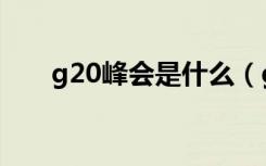 g20峰会是什么（g20峰会简单介绍）