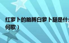 红萝卜的胳膊白萝卜腿是什么歌（红萝卜的胳膊白萝卜腿是何歌）