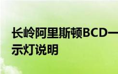 长岭阿里斯顿BCD一203B温度调节绿红黄指示灯说明