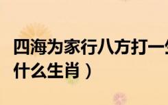 四海为家行八方打一生肖（四海为家行八方是什么生肖）