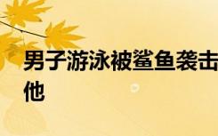 男子游泳被鲨鱼袭击，幸有一群海豚“救了”他