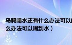 乌鸦喝水还有什么办法可以喝到水一年级（乌鸦喝水还有什么办法可以喝到水）