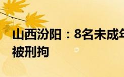 山西汾阳：8名未成年人殴打侮辱女孩，两人被刑拘