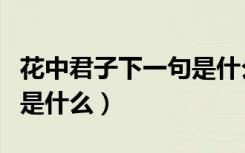 花中君子下一句是什么四字（花中君子下一句是什么）