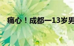 痛心！成都一13岁男孩被篮球架砸中身亡