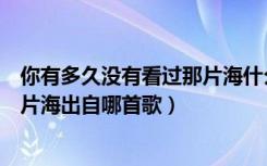 你有多久没有看过那片海什么歌（歌词你有多久没有看过那片海出自哪首歌）