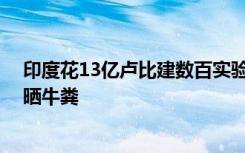 印度花13亿卢比建数百实验室：大部分已关闭 一些改用作晒牛粪