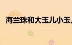 海兰珠和大玉儿小玉儿（海兰珠和大玉儿）