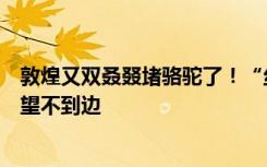 敦煌又双叒叕堵骆驼了！“丝绸之路”盛况再现，队伍壮观望不到边