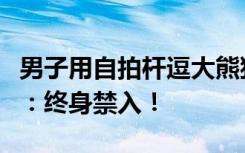 男子用自拍杆逗大熊猫，成都大熊猫繁育基地：终身禁入！