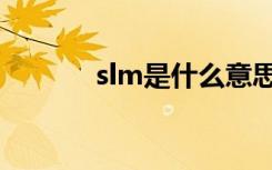 slm是什么意思（slm的解说）