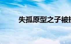 失孤原型之子被拐案一审择期宣判