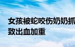 女孩被蛇咬伤奶奶抓蜘蛛吸毒，“以毒攻毒”致出血加重