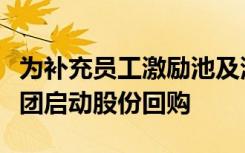 为补充员工激励池及满足股东流动性，蚂蚁集团启动股份回购