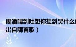 喝酒喝到吐想你想到哭什么歌（歌词喝酒喝到吐想你想到哭出自哪首歌）