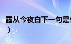 露从今夜白下一句是什么（露从今夜白的出处）