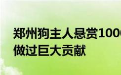 郑州狗主人悬赏1000万人民币寻狗：为国家做过巨大贡献