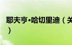 耶夫亨·哈切里迪（关于耶夫亨·哈切里迪介绍）