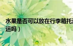 水果是否可以放在行李箱托运（水果能放在行李箱中进行托运吗）