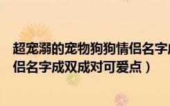 超宠溺的宠物狗狗情侣名字成双成对（超宠溺的宠物狗狗情侣名字成双成对可爱点）