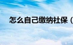 怎么自己缴纳社保（如何自己缴纳社保）