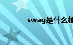 swag是什么梗（swag解释）